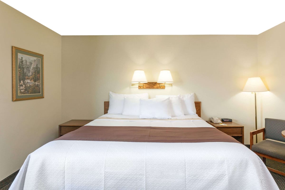 Een hotelkamer met een groot bed, twee bedlampjes, een nachtkastje, een stoel en een schilderij aan de muur.