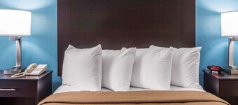 Quality Inn Macon West