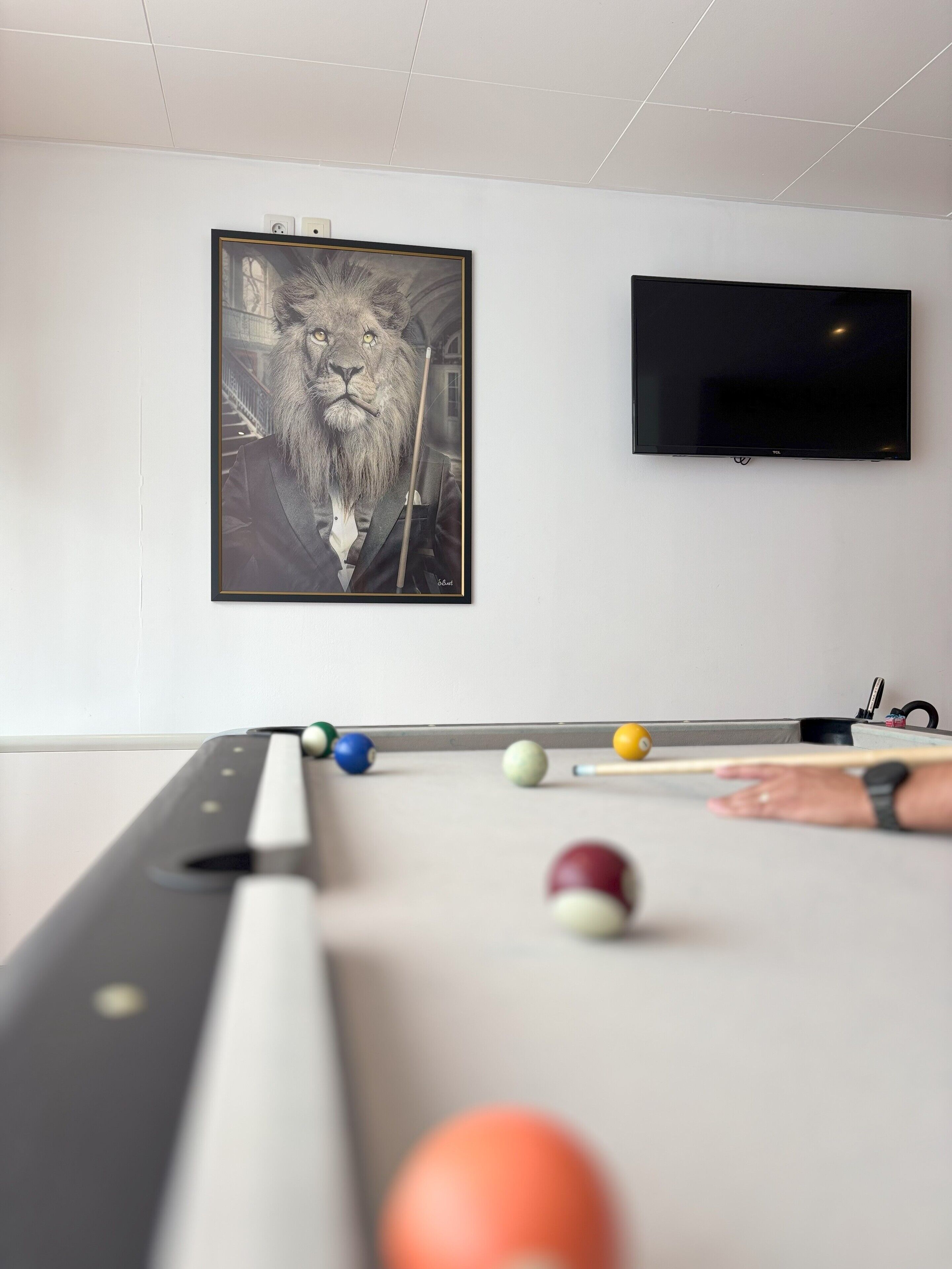 A billiards table with balls and a cue stick, a framed portrait on the wall, and a flat-screen TV.