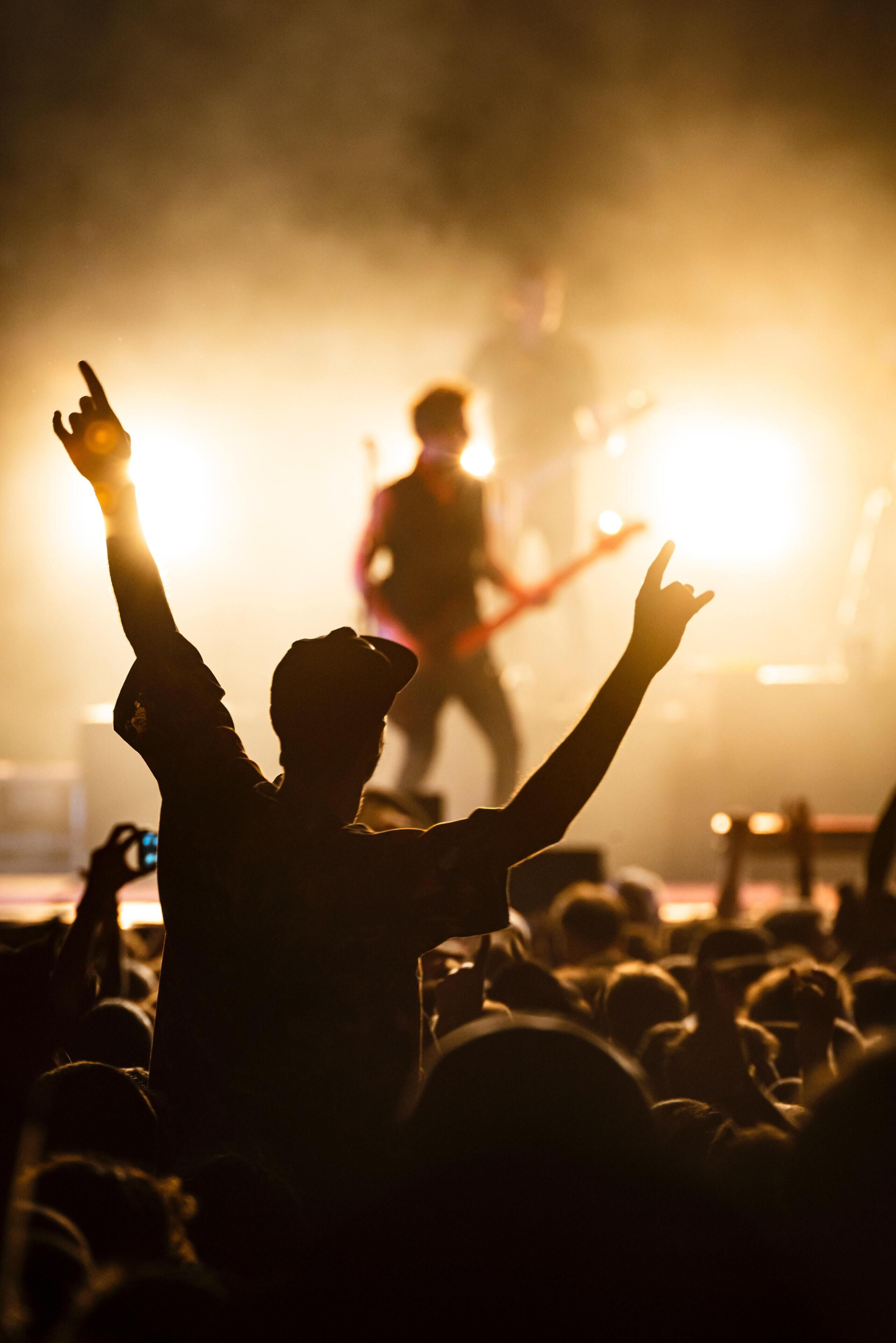 A concert scene with a crowd and a performer on stage.