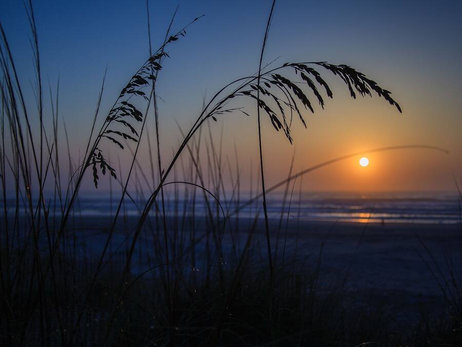 Beach nearby, white sand