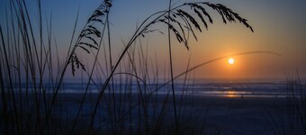 Quality Inn & Suites St Augustine Beach Area