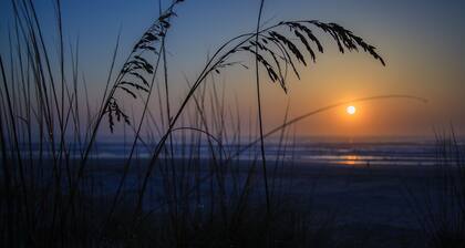 Quality Inn & Suites St Augustine Beach Area