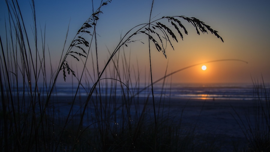 Quality Inn & Suites St Augustine Beach Area