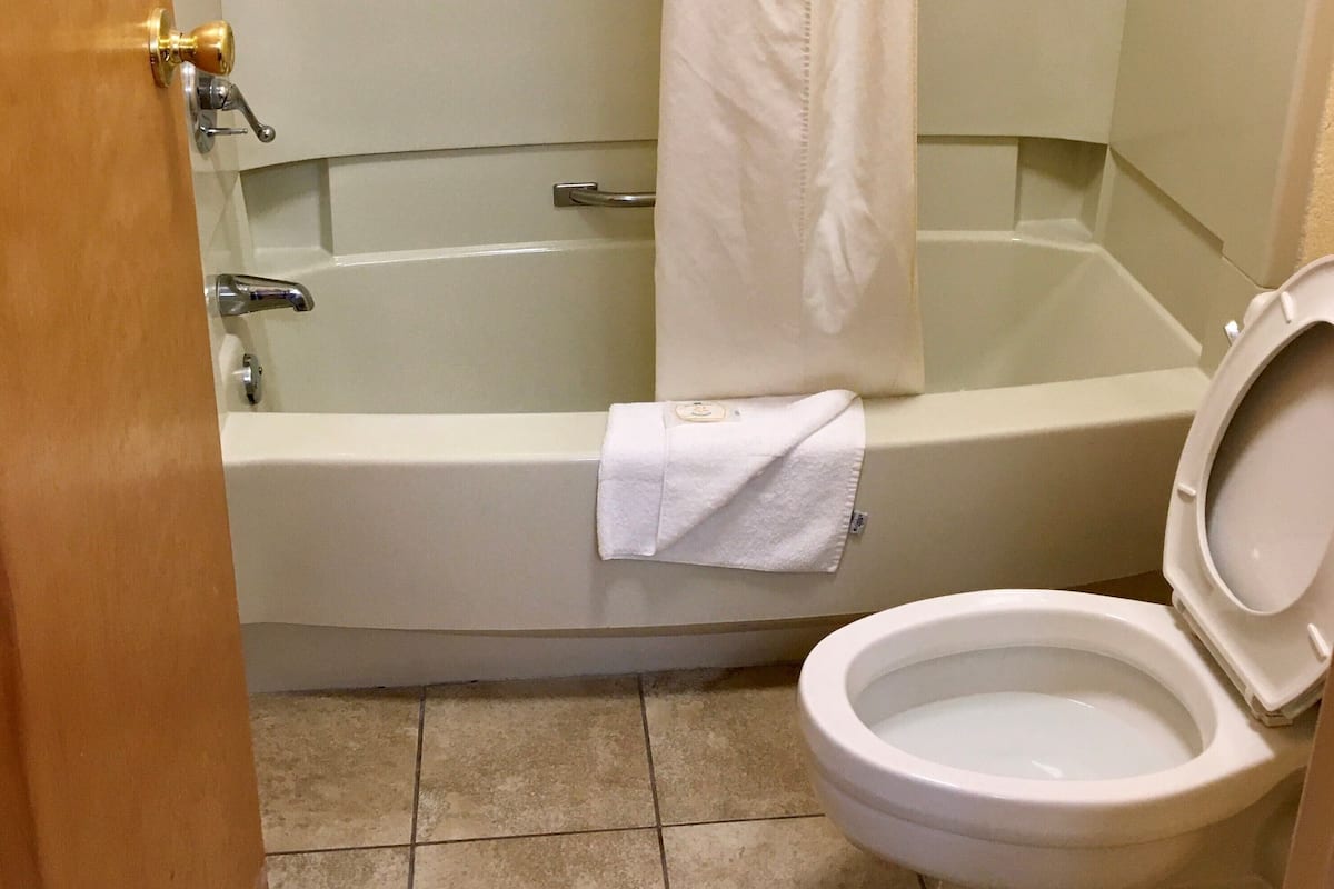 Combined shower/tub, free toiletries, hair dryer, towels