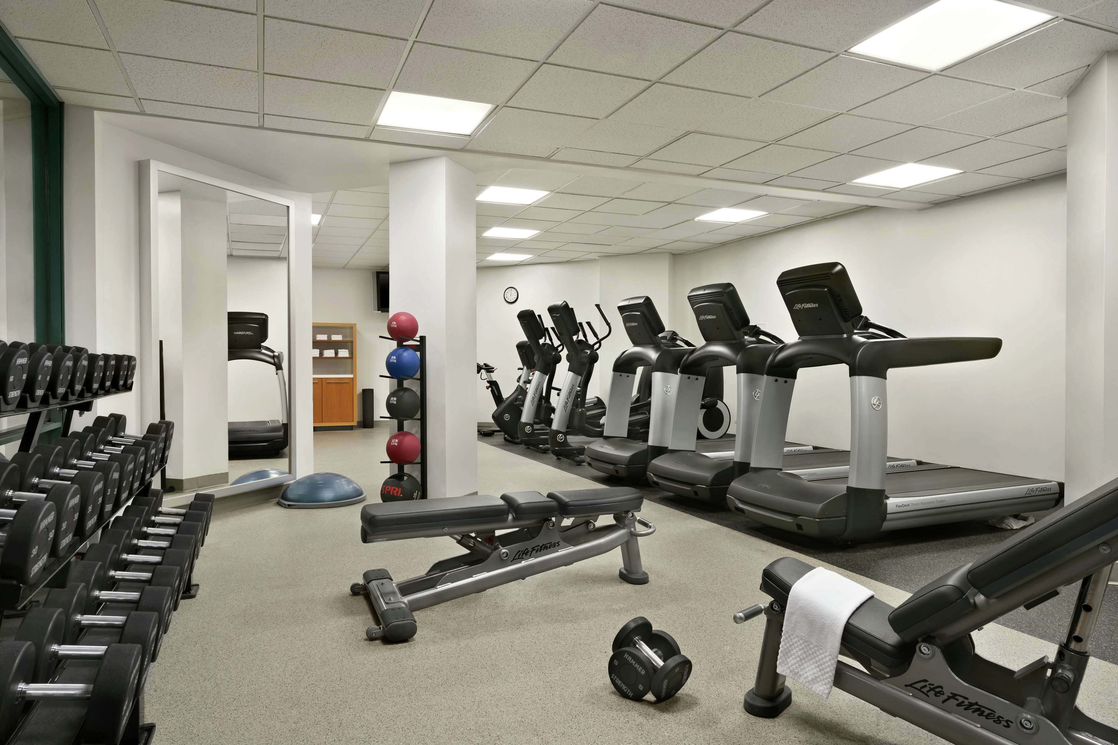 A gym with treadmills, dumbbells, and exercise balls.