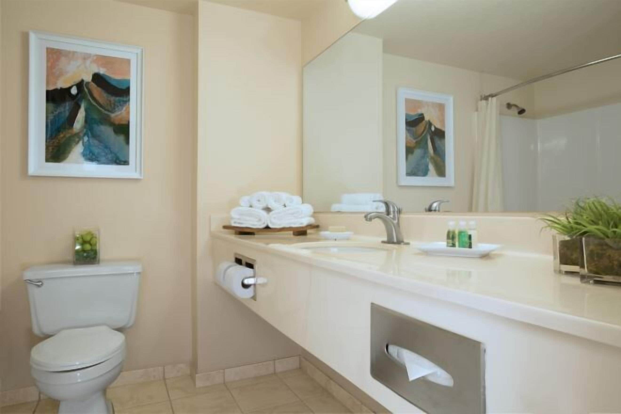 Combined shower/tub, free toiletries, hair dryer, towels