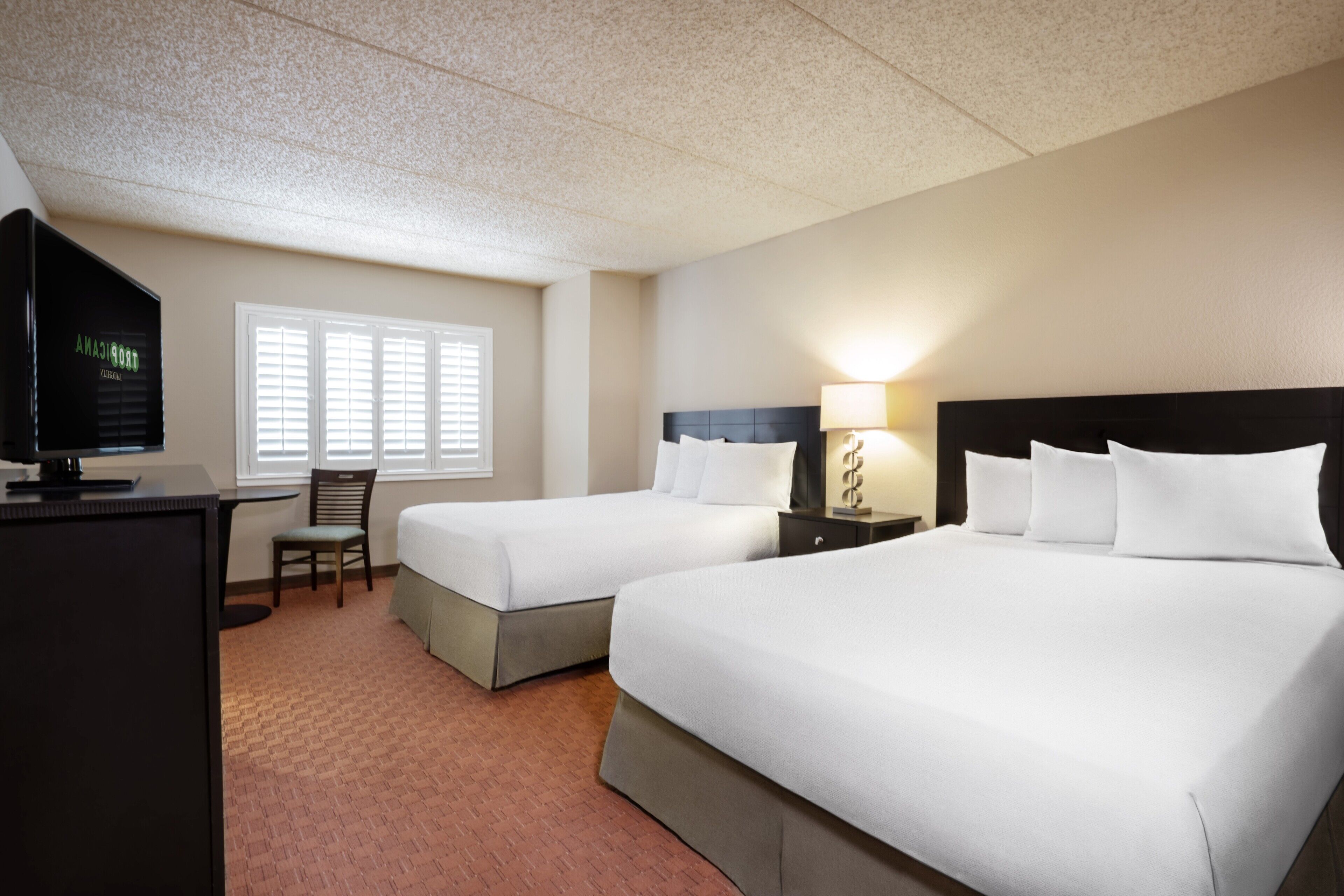 A hotel room with two beds, a desk, a chair, a TV, and a window with blinds.