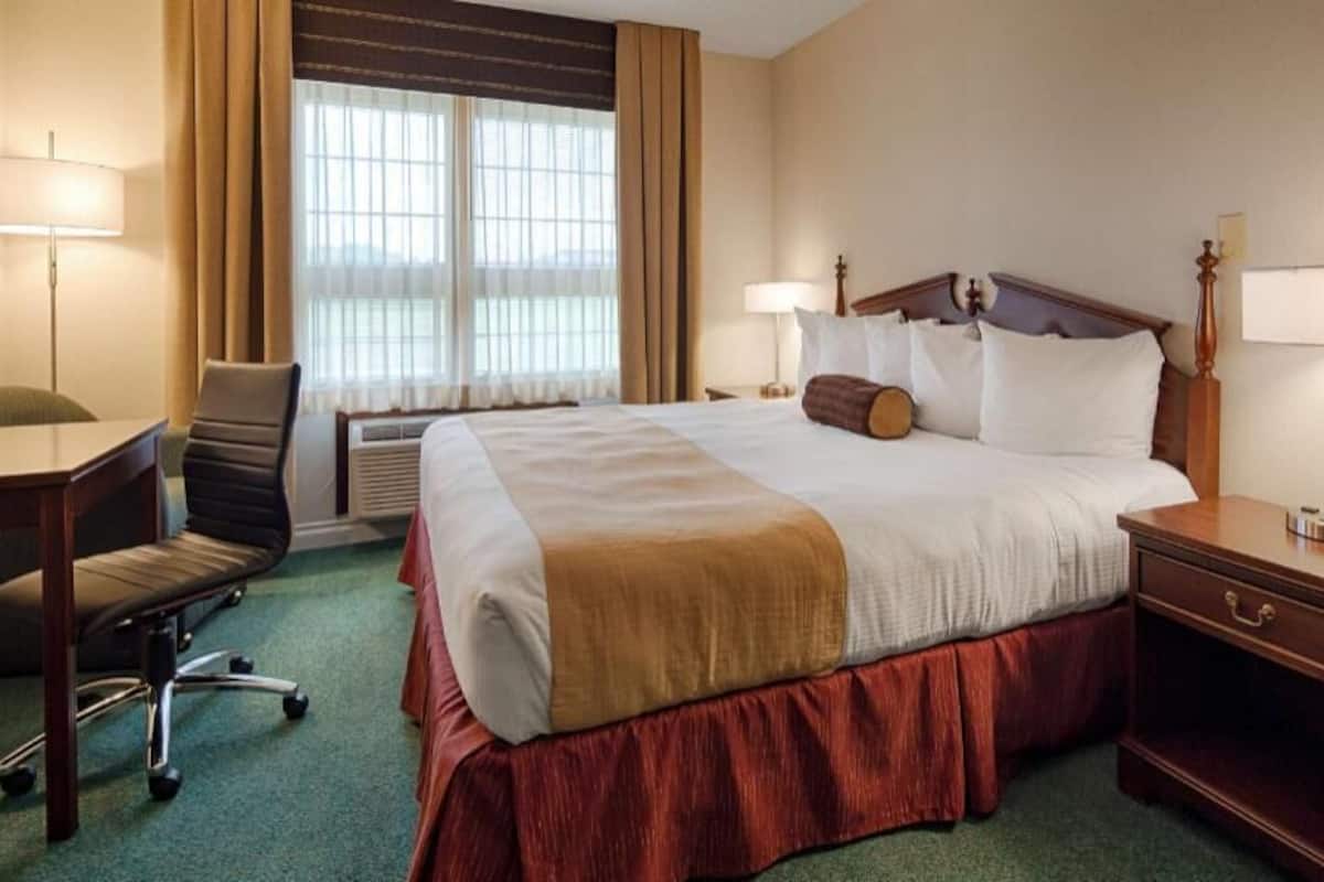 A hotel room with a large bed, a desk, a chair, a nightstand, and a window with curtains.