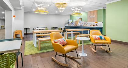 Spark by Hilton Lockport