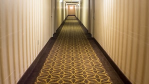 A long, narrow hotel corridor with a patterned carpet and light-colored walls. - Econo Lodge Erie near Casino (Erie)
