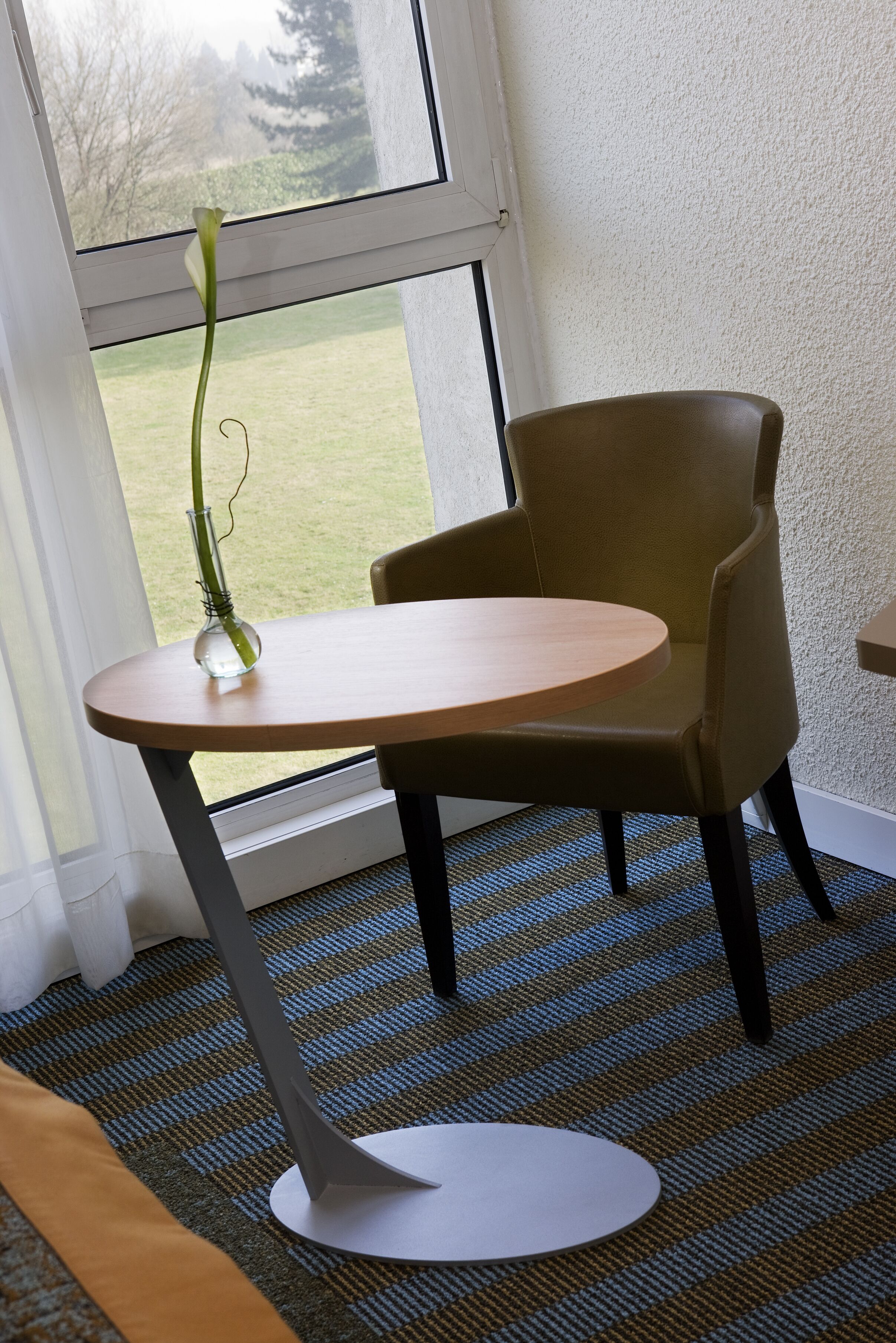 privilege, standard room, 1 king bed | view from room