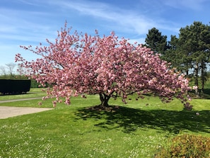 Jardín