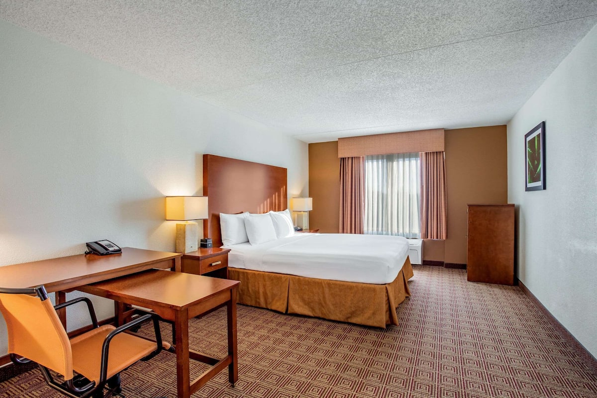 Suite Deluxe, 1 cama King size, para no fumadores | Ropa de cama de alta calidad y caja de seguridad en la habitación