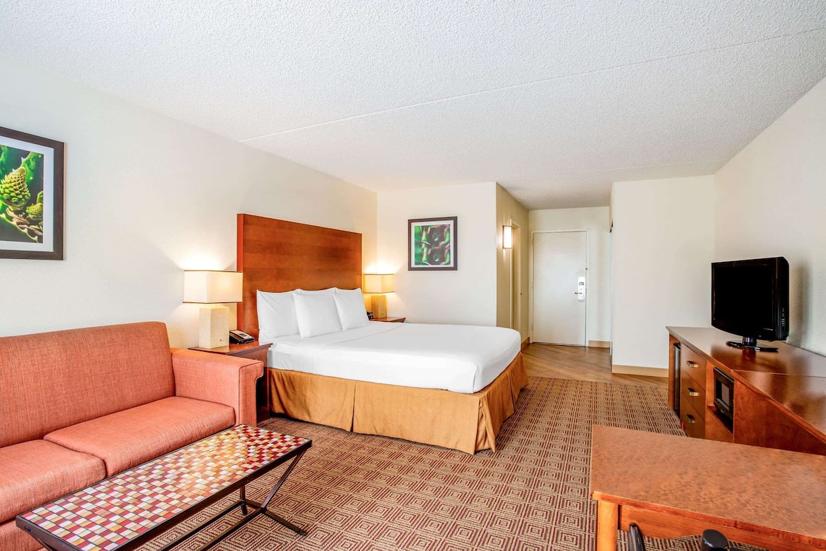 Suite, 1 cama King size, para no fumadores | Ropa de cama de alta calidad y caja de seguridad en la habitación