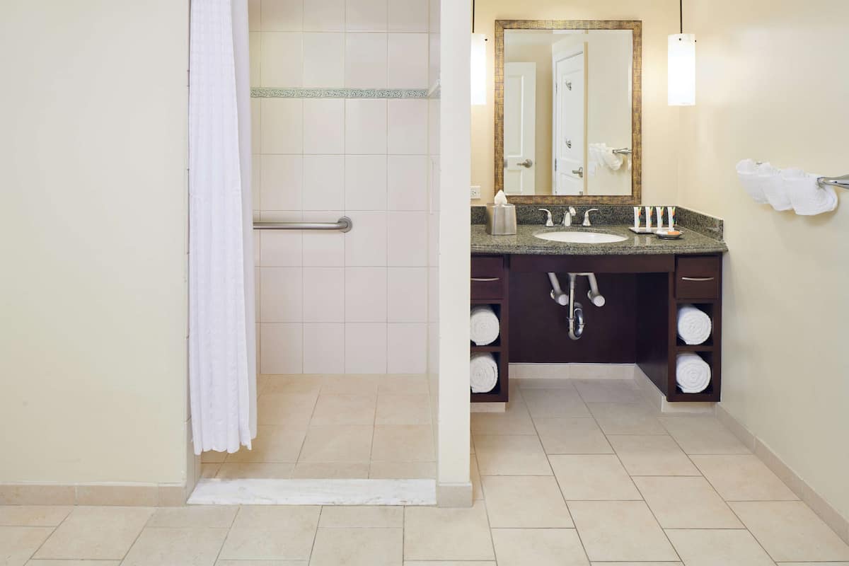 Een badkamer met een douche, een wastafel, een spiegel en een handdoekhouder.