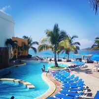 Un área de piscina con sillones reclinables azules y palmeras.