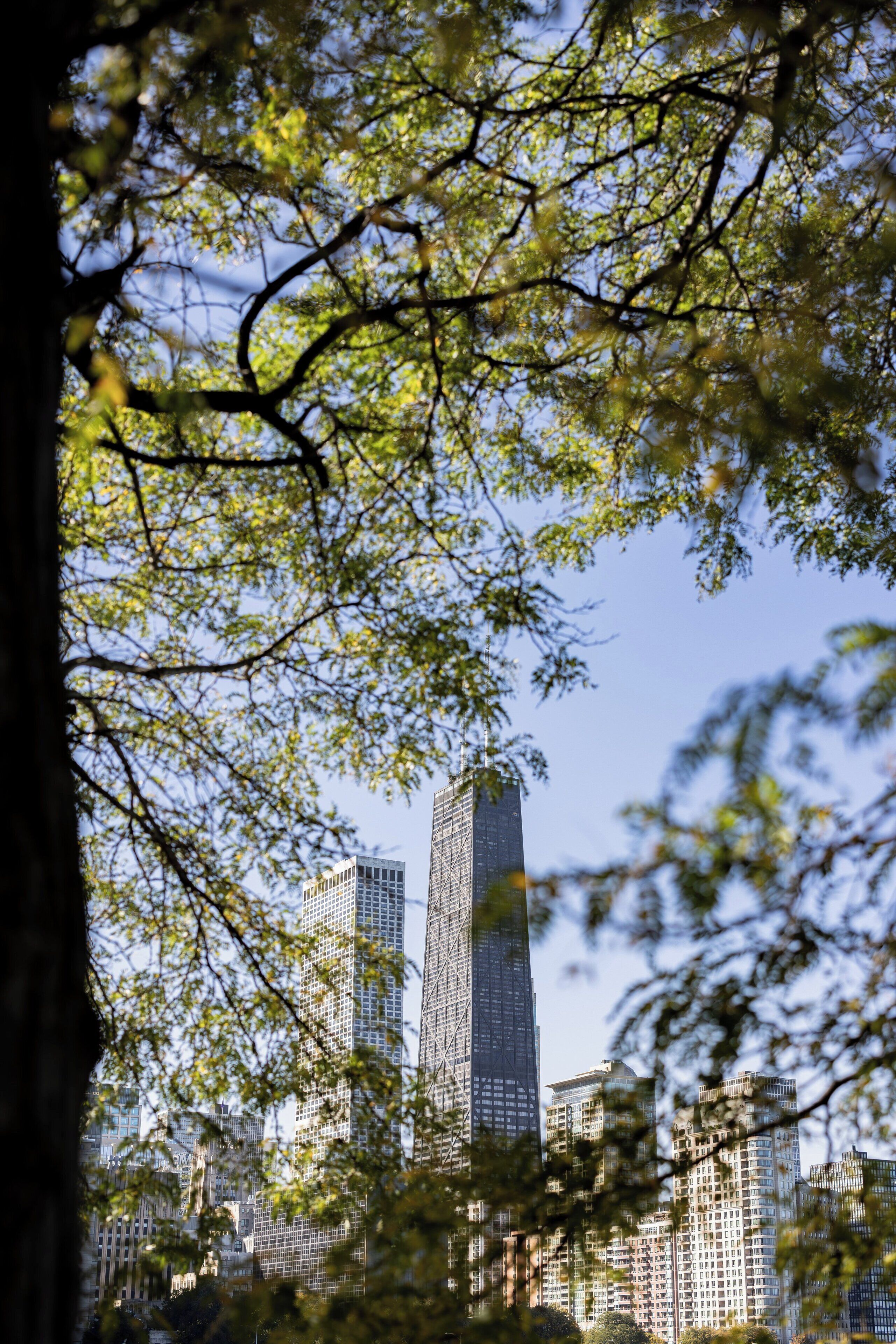 Photo - Millennium Knickerbocker Chicago