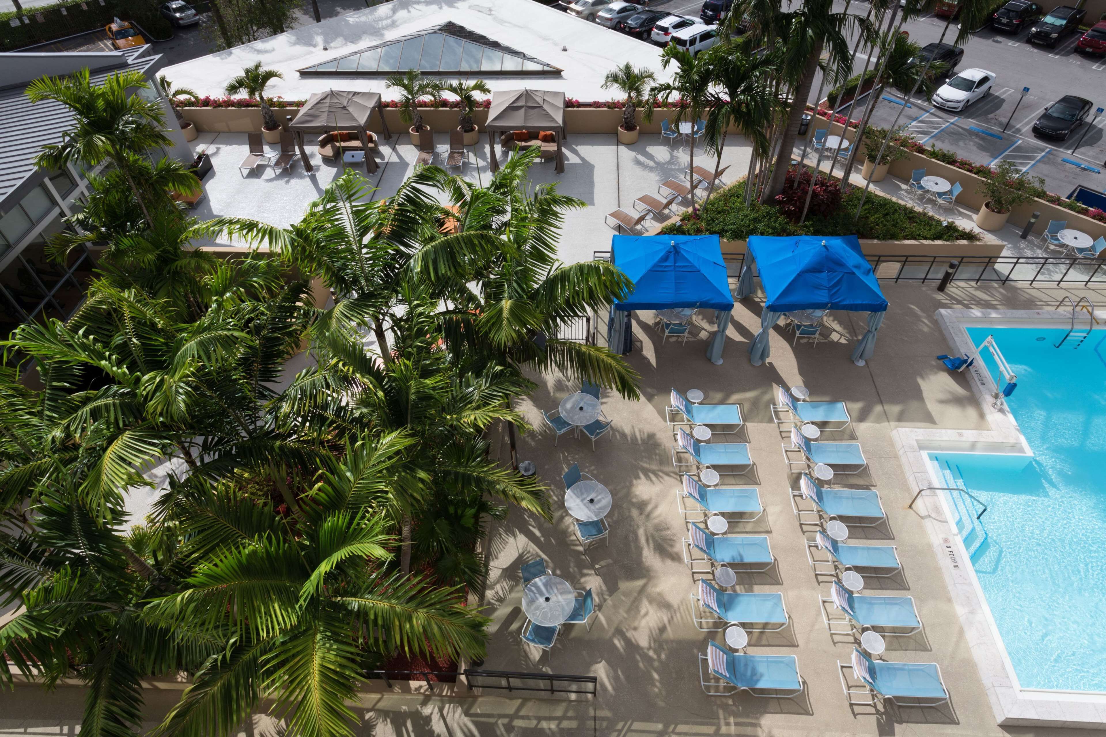 A rooftop pool area with lounge chairs, umbrellas, and palm trees.