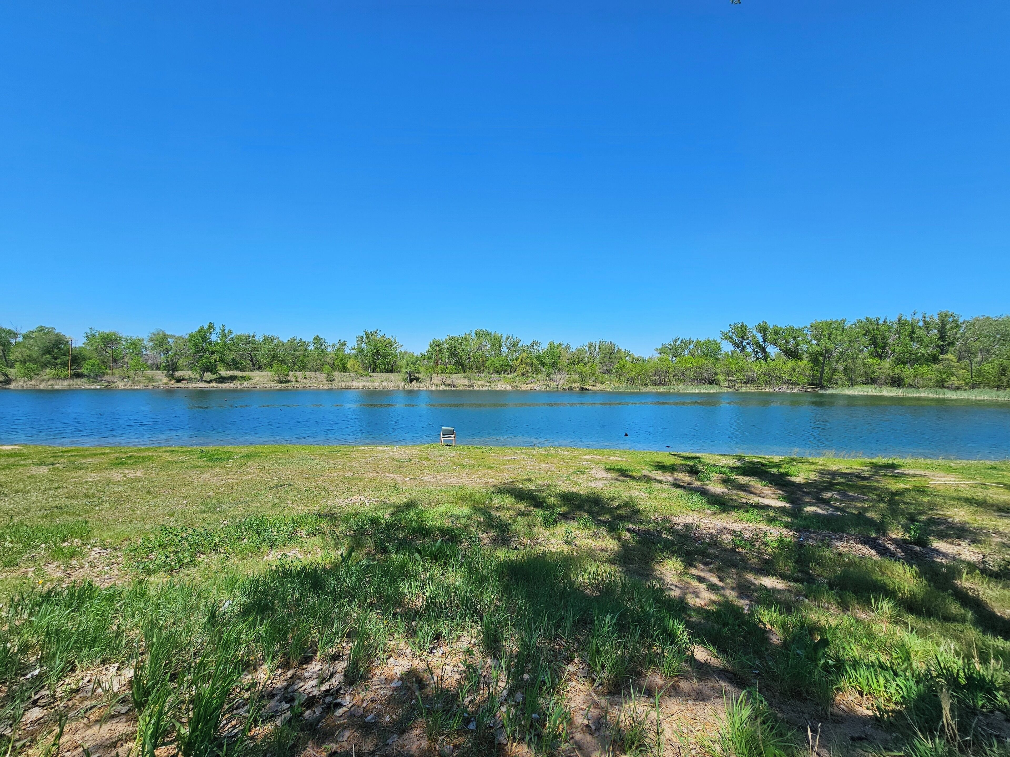 A serene lakeside view with a grassy area and trees in the background.