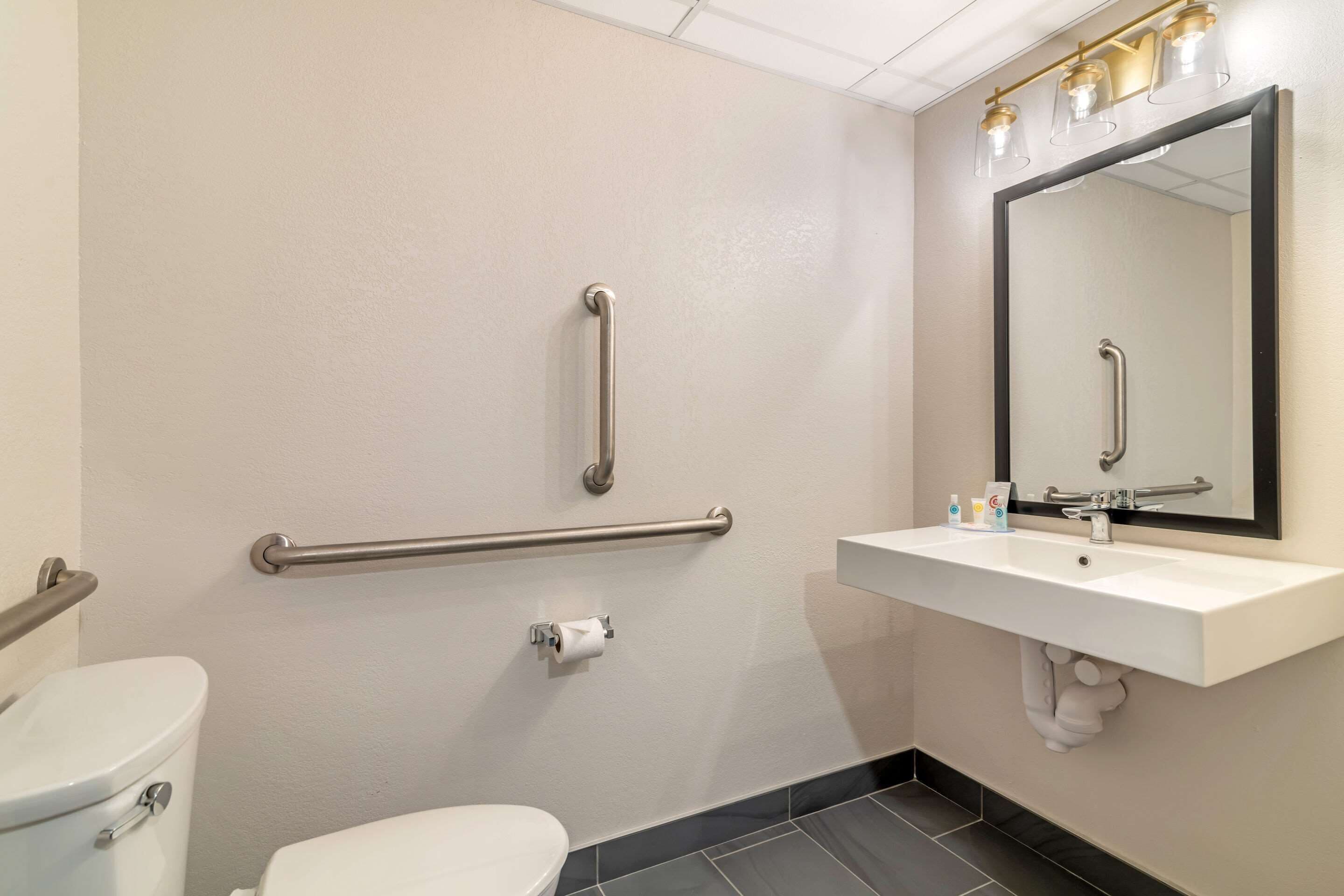 Ein Badezimmer mit Toilette, Waschbecken mit Spiegel und Haltegriffen an der Wand.