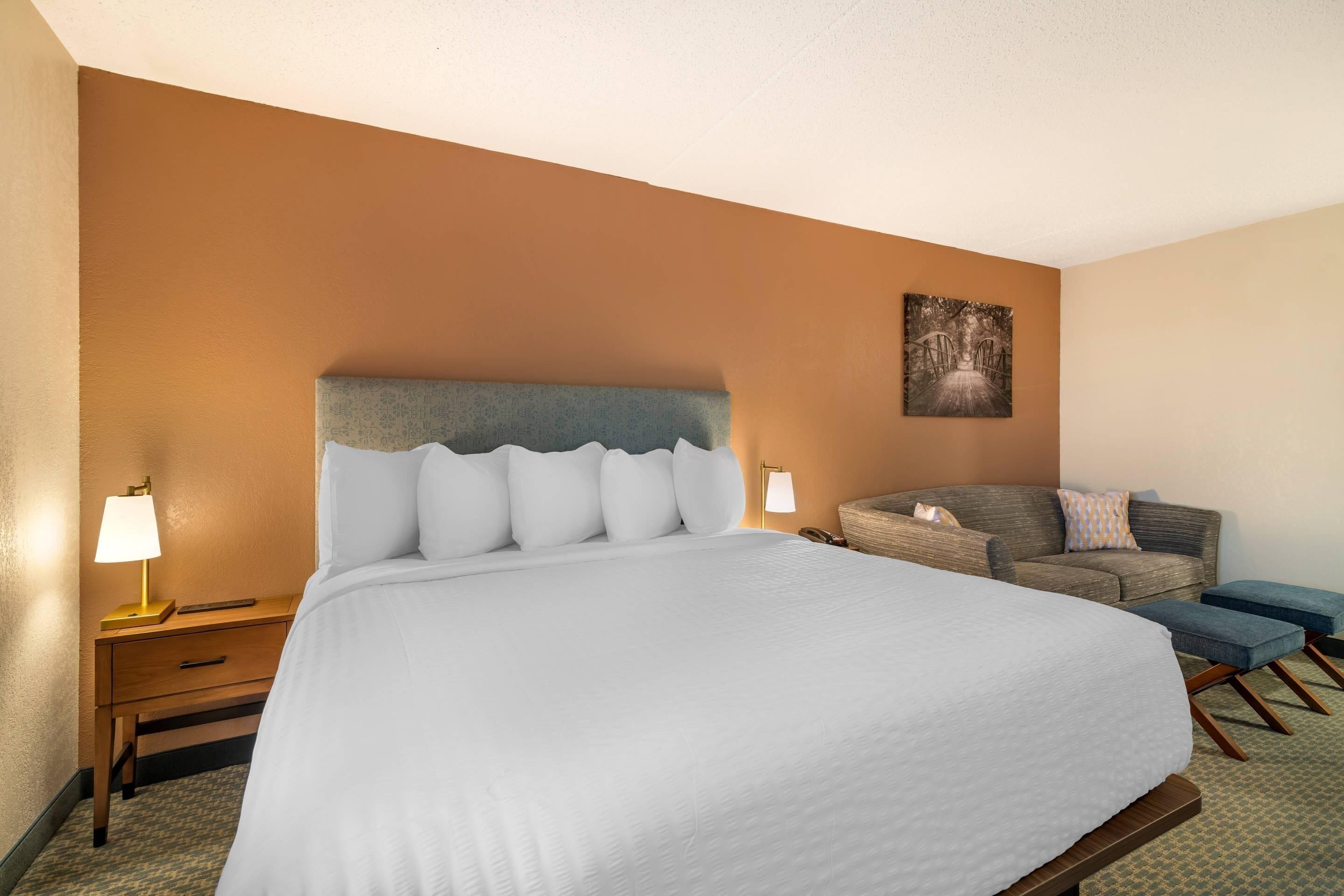 Standard Room, 1 King Bed with Sofa bed, Non Smoking | Premium bedding, desk, laptop workspace, iron/ironing board