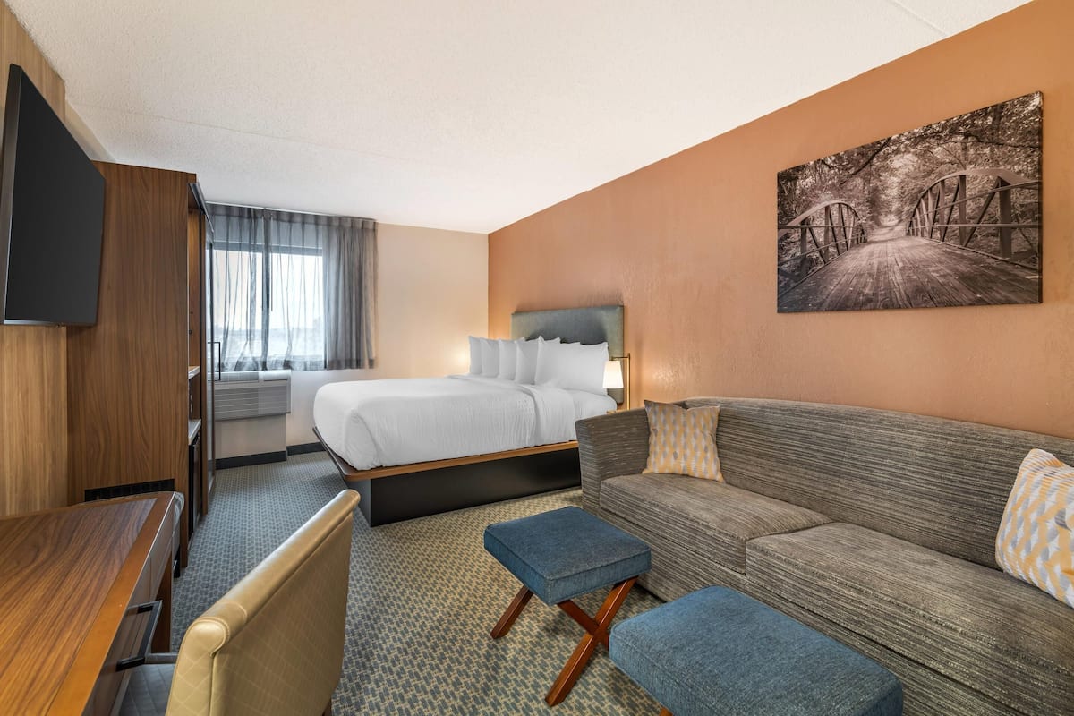 Standard Room, 1 King Bed with Sofa bed, Non Smoking | Premium bedding, desk, iron/ironing board, free cribs/infant beds