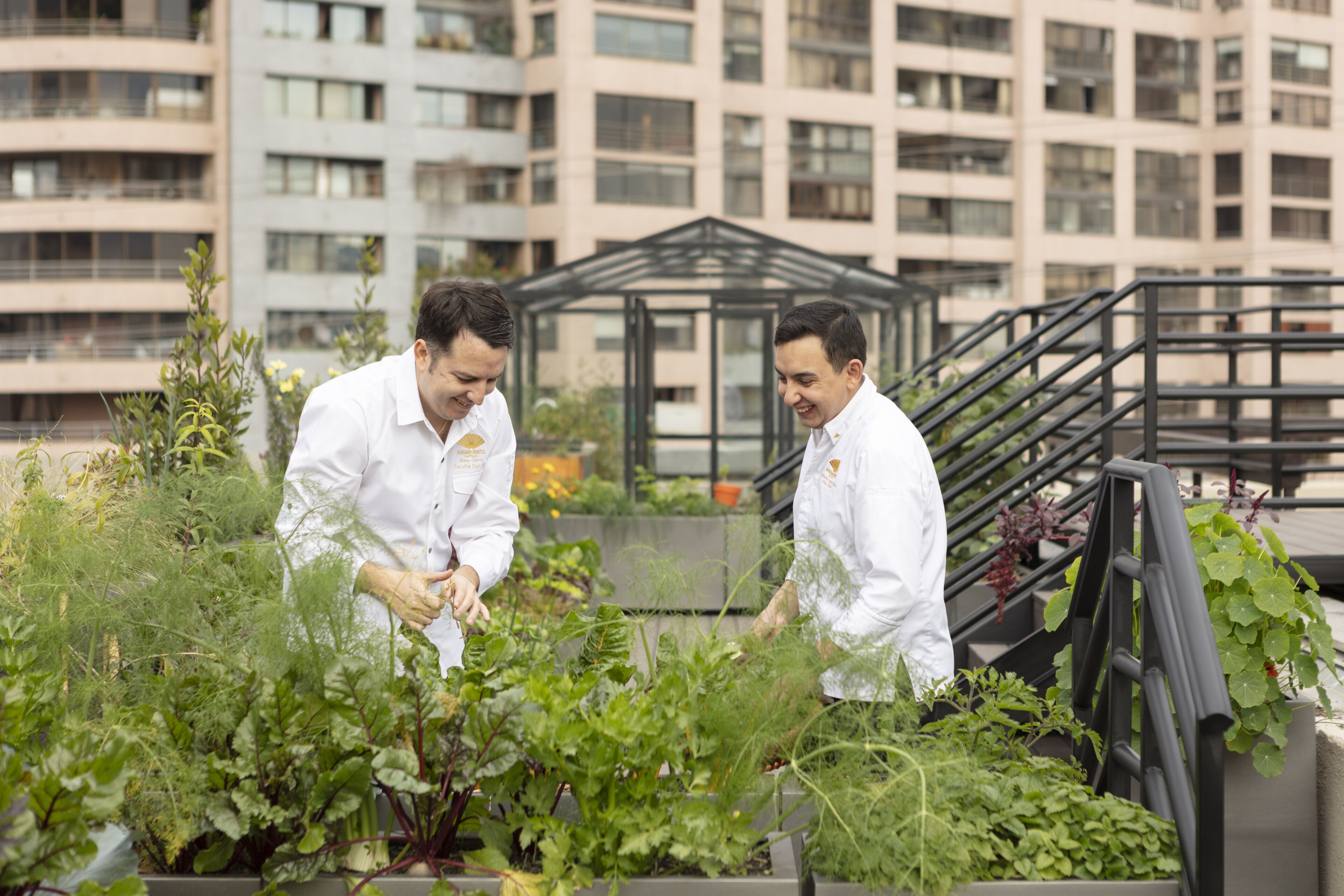 Foto - Mandarin Oriental, Santiago