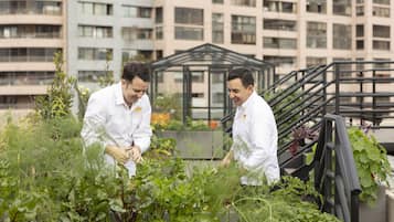 Two individuals in white lab coats working with plants on a rooftop garden with a modern building in the background.