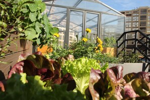 Exterior - Mandarin Oriental, Santiago (Santiago)