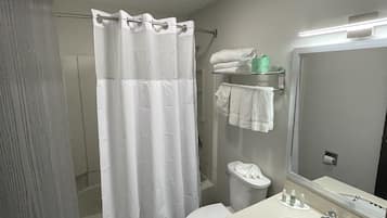 A bathroom with a shower, toilet, sink, and a mirror.