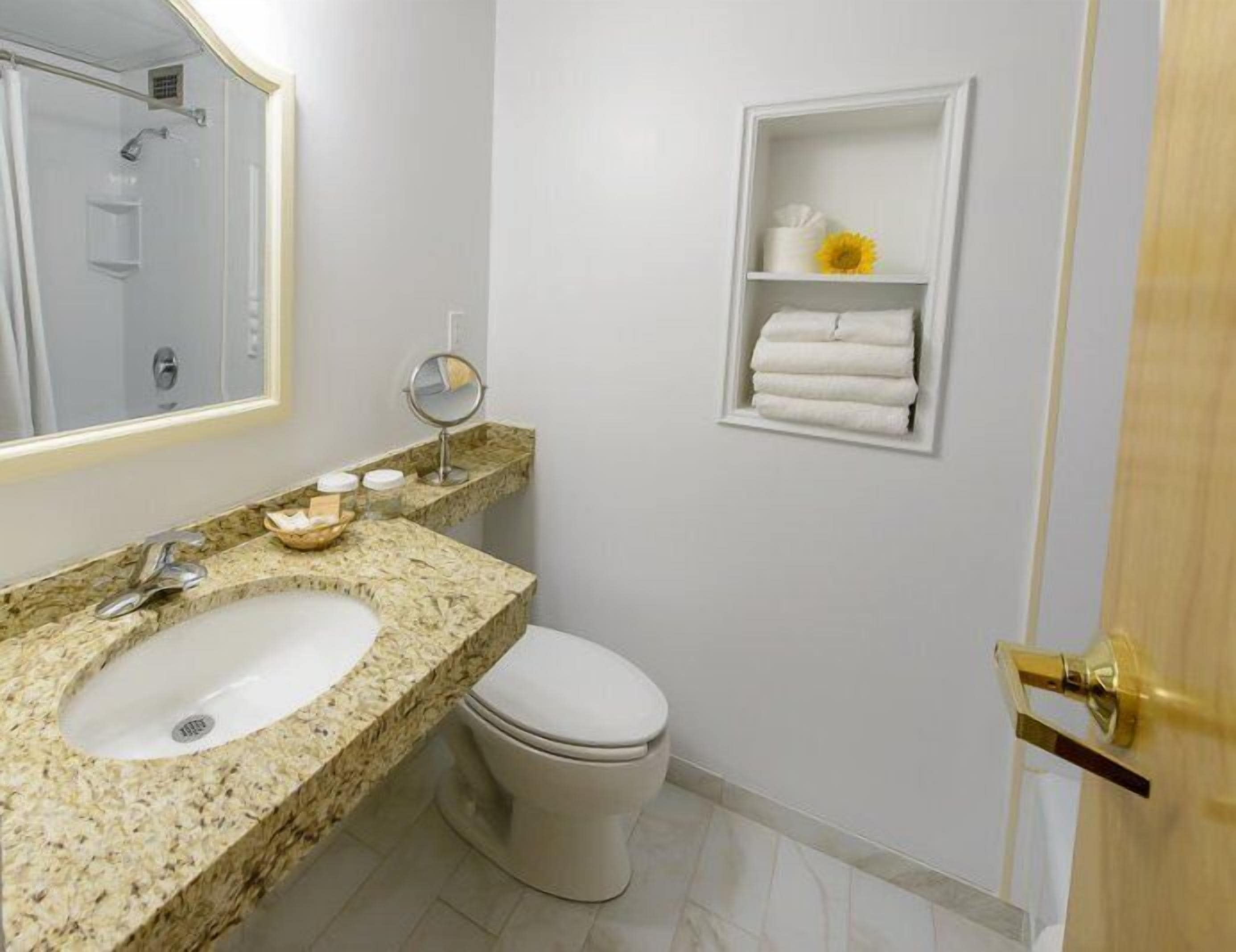 A bathroom with a sink, toilet, and a mirror.