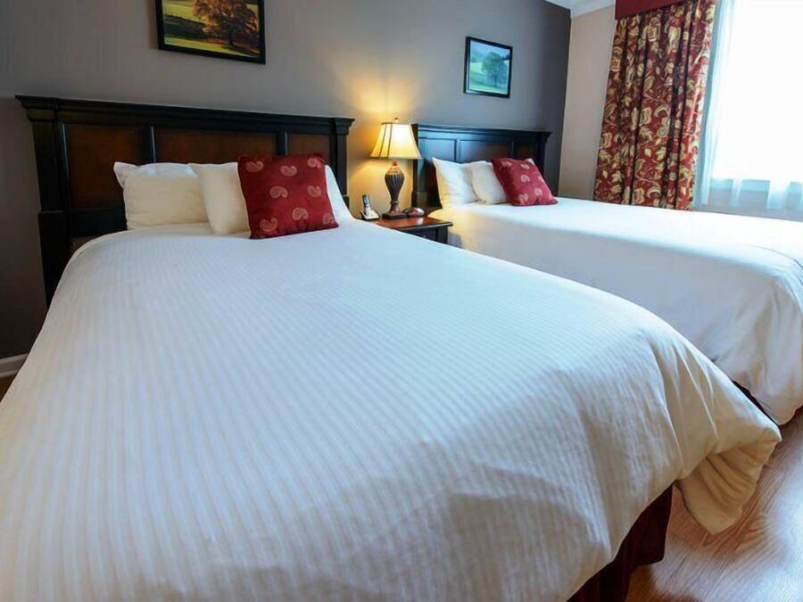 A hotel room with two beds, each with white linens and red pillows, a nightstand with a lamp, and a window with curtains.