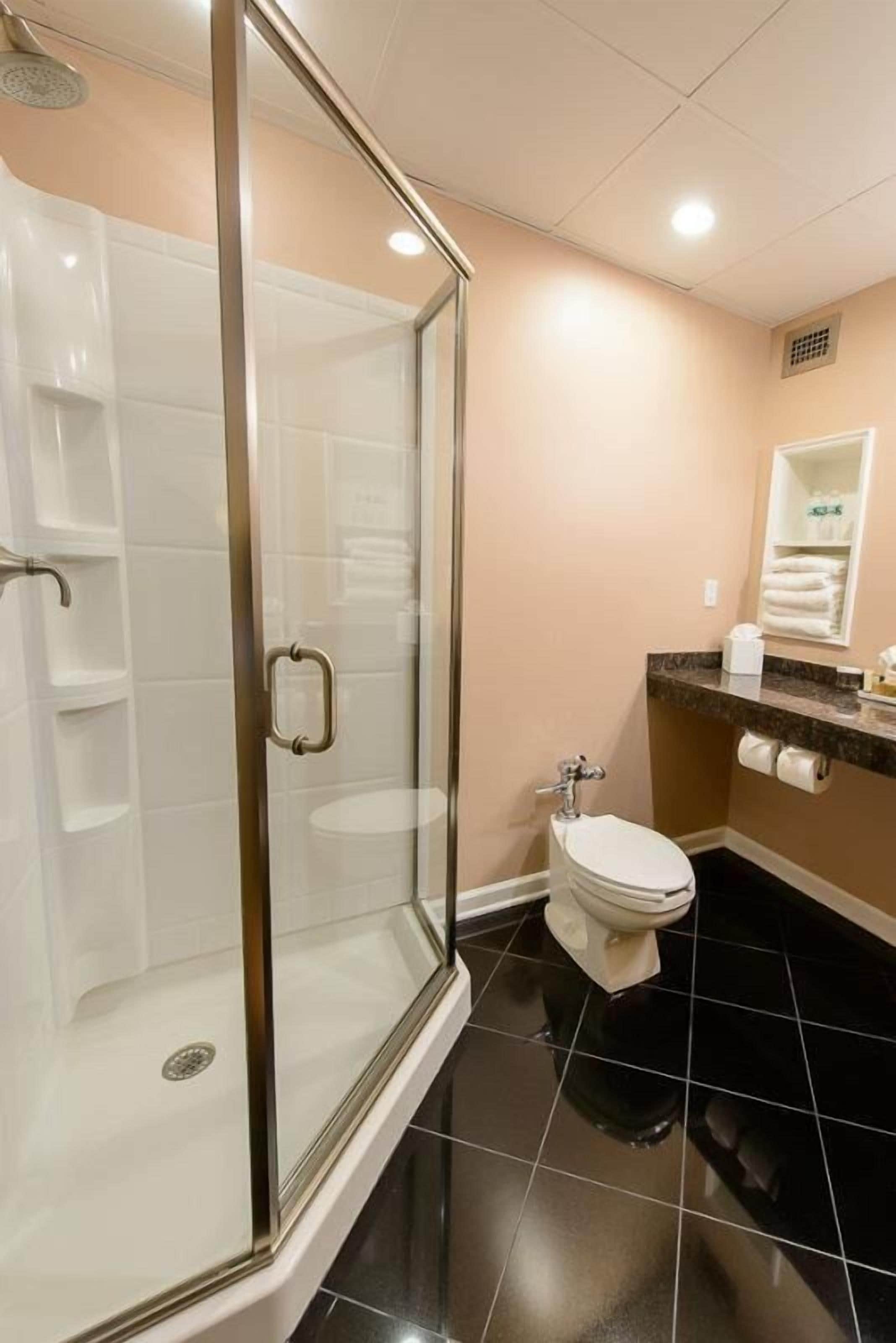 A modern bathroom with a glass-enclosed shower, a toilet, and a vanity with a mirror and towel rack.
