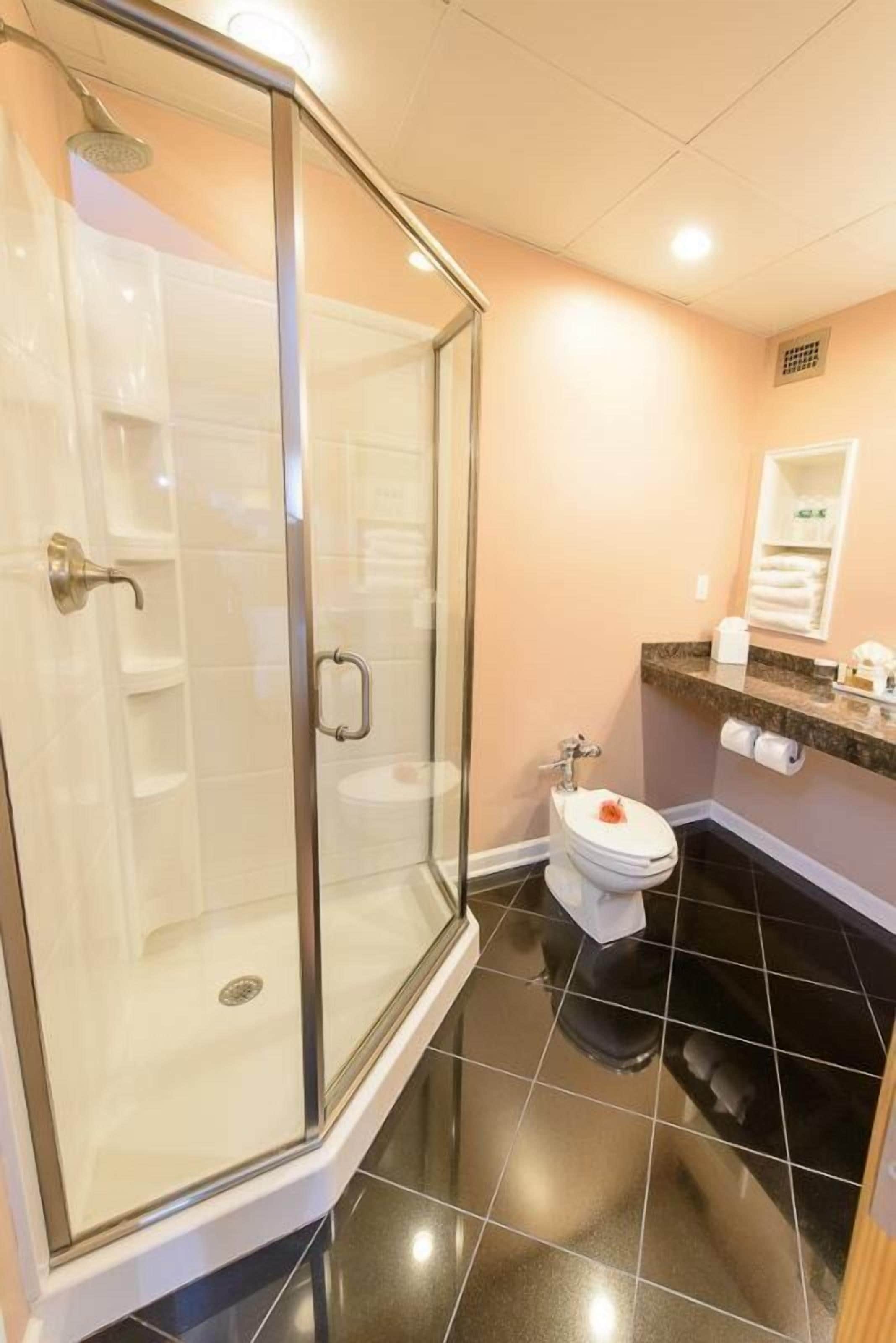 A modern bathroom with a glass-enclosed shower, a toilet with a decorative item, and a vanity with a towel rack.