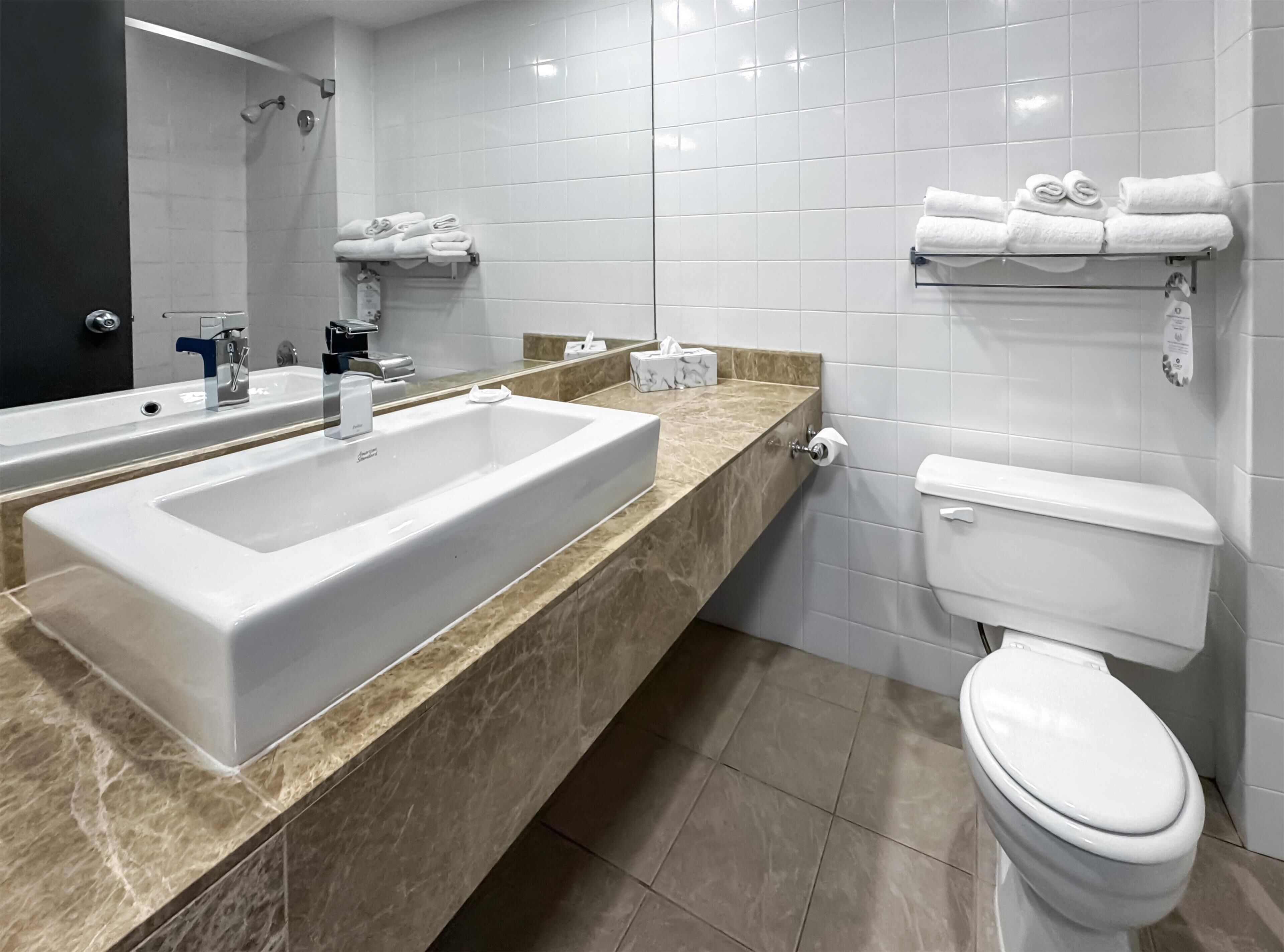 combined shower/bathtub, rainfall showerhead, designer toiletries