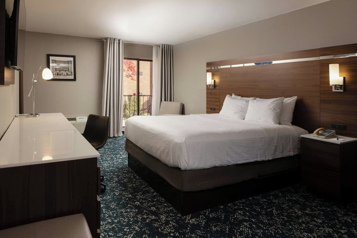 Room, 1 King Bed