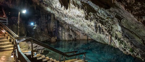 A cave with a staircase leading to a platform over a pool of water.