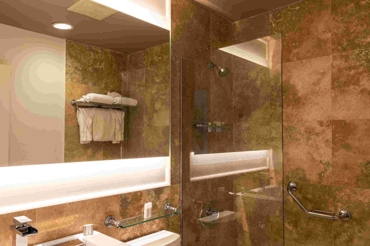 combined shower/bathtub, free toiletries, hair dryer, towels