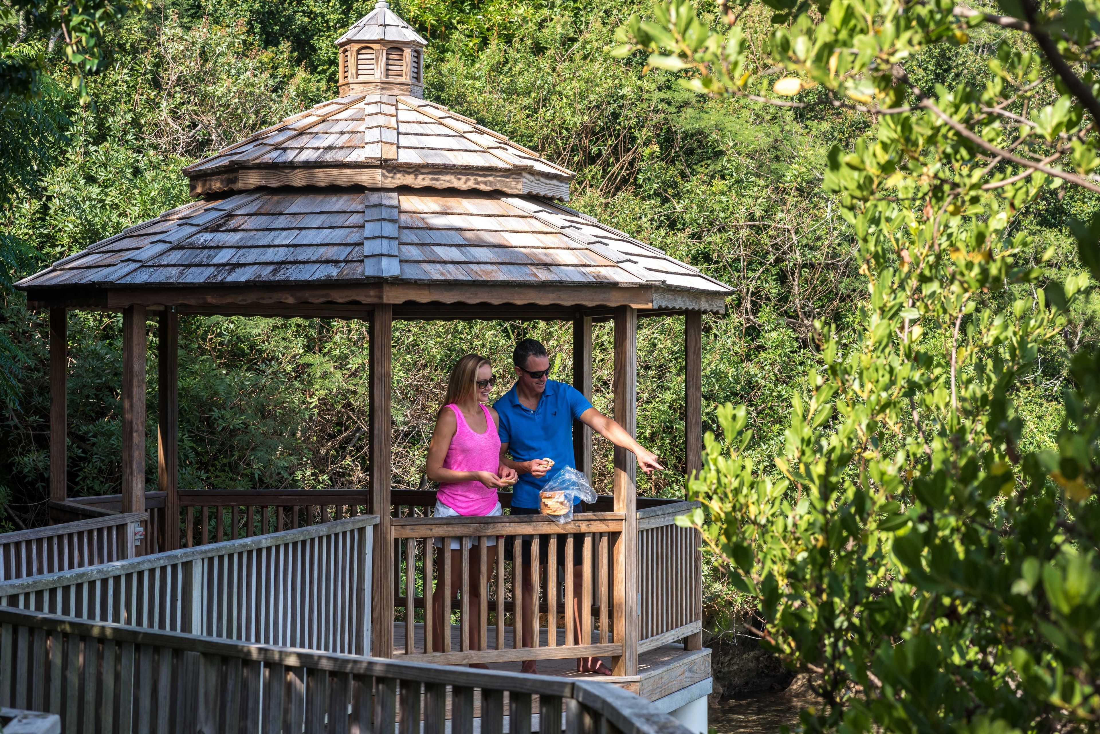 Ein Gazebo mit Holzboden und kleinem Turm, umgeben von üppiger Vegetation.