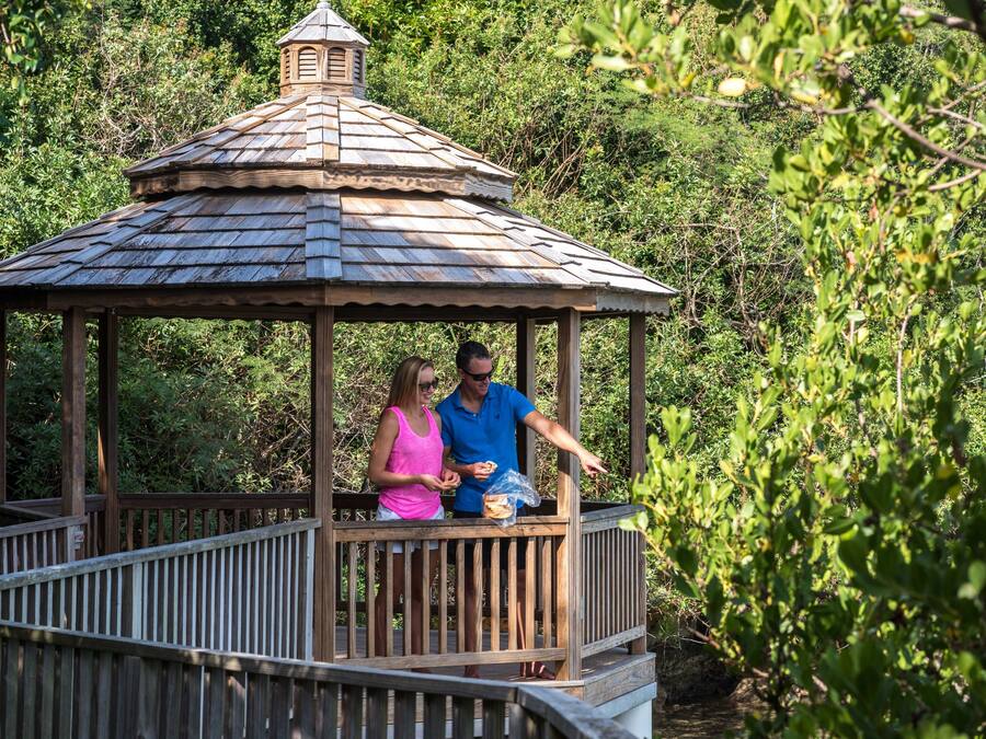 A gazebo with a wooden roof and a small tower, surrounded by lush greenery.