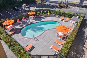 A swimming pool with lounge chairs and umbrellas, surrounded by a landscaped area with hedges and plants.