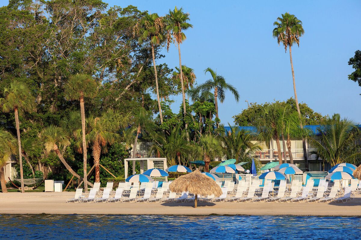 A beachside resort with lounge chairs and umbrellas, palm trees, and a clear blue sky.