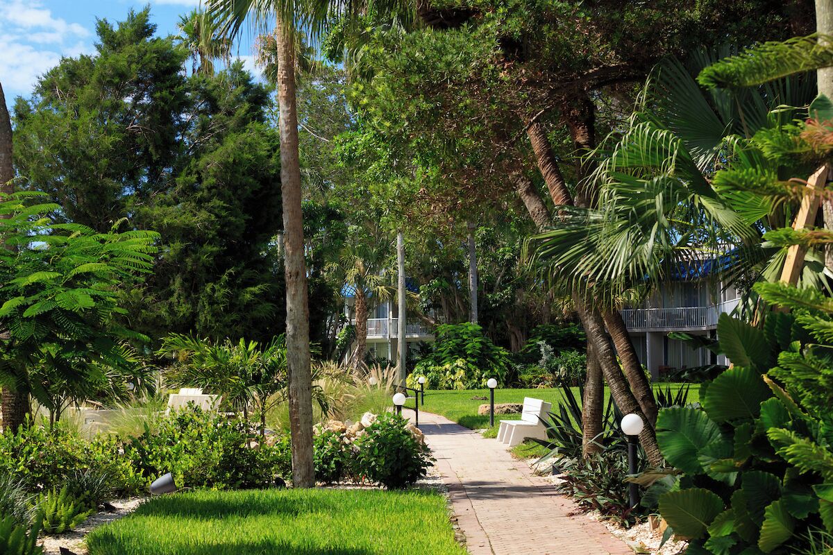 Un sendero atraviesa un jardín exuberante con diversas plantas y árboles, un banco y un edificio al fondo.