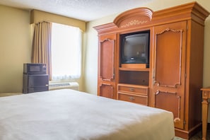 Habitació individual bàsica | Equipament de l'habitació