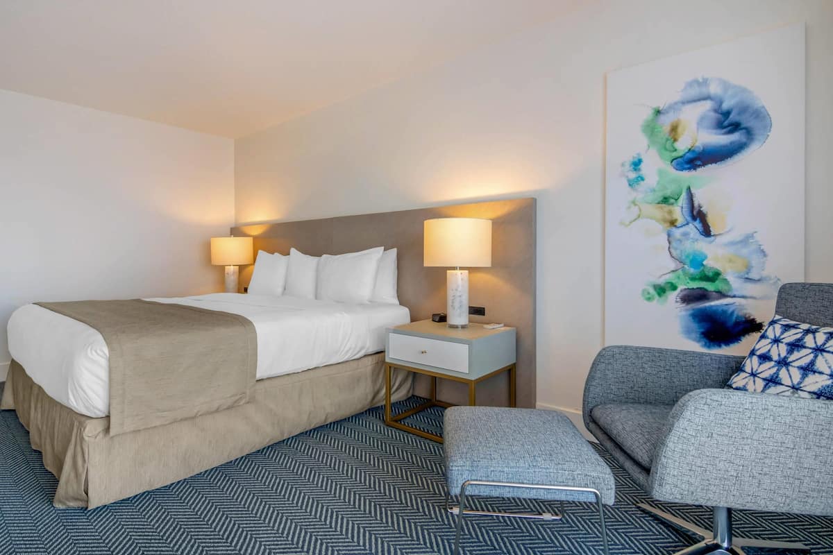 Standard Room, 1 King Bed, Non Smoking