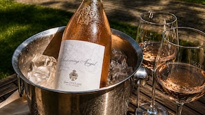 A bottle of wine in an ice bucket on a table, with two glasses of wine beside it.