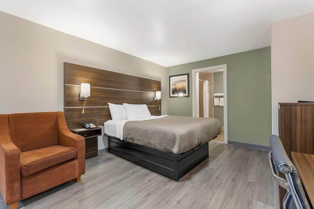 A hotel room with a bed, a sofa, a desk, and a chair.