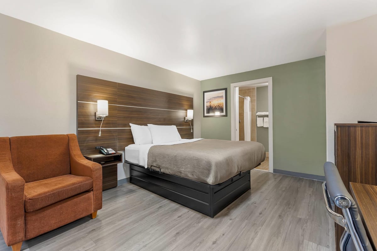 A modern hotel room with a bed, a sofa, a bedside table with a phone, and a wall-mounted light.