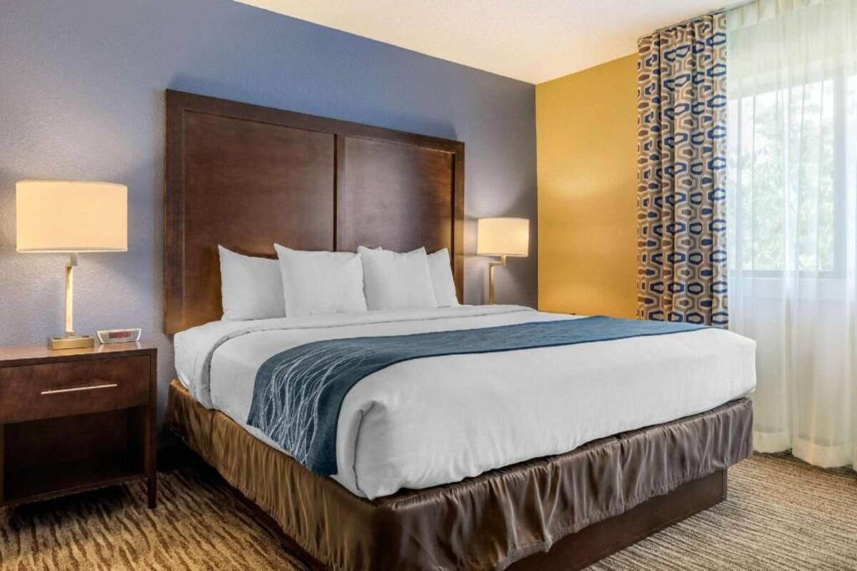 Une chambre d’hôtel avec un grand lit, deux tables de chevet, une tête de lit et une fenêtre agrémentée de rideaux à motifs.